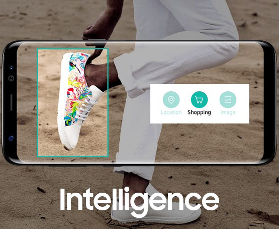 S8(66)